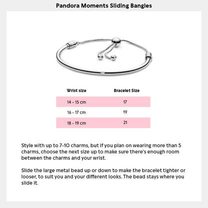 Pandora Sparkle Charm & Bracelet Set
